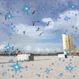 Meet your Posher, Darlene